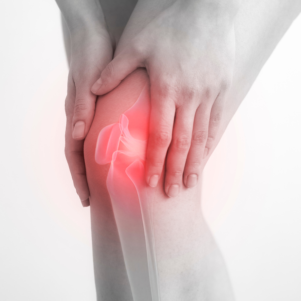 Eine Person hält ihr schmerzendes Knie, wobei das Kniegelenk rot leuchtet und überlagert wird, was auf Beschwerden oder Verletzungen hinweist - was die Notwendigkeit einer Physiotherapie Lübeck zur Unterstützung der Genesung und Linderung verdeutlicht.